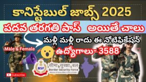 BSF Constable Tradesman Job Notification 2025  